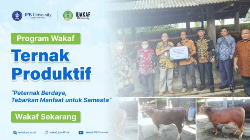 Banner_Wakaf Ternak Produktif